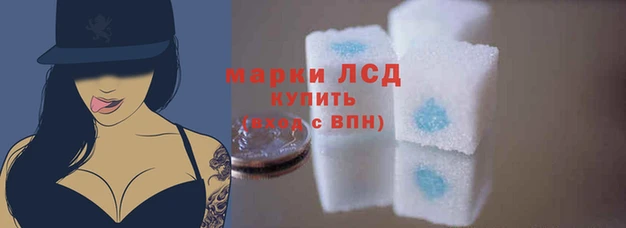 jwh Беломорск