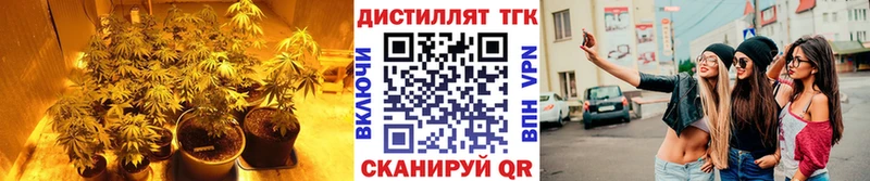 mega зеркало  Кропоткин  Дистиллят ТГК концентрат 