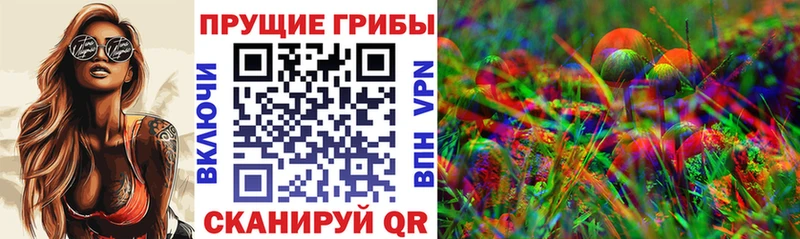 Галлюциногенные грибы Cubensis  блэк спрут ссылки  Кропоткин 